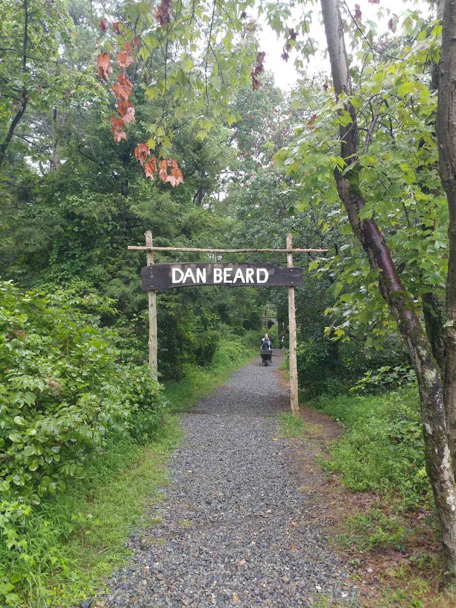 Dan Beard