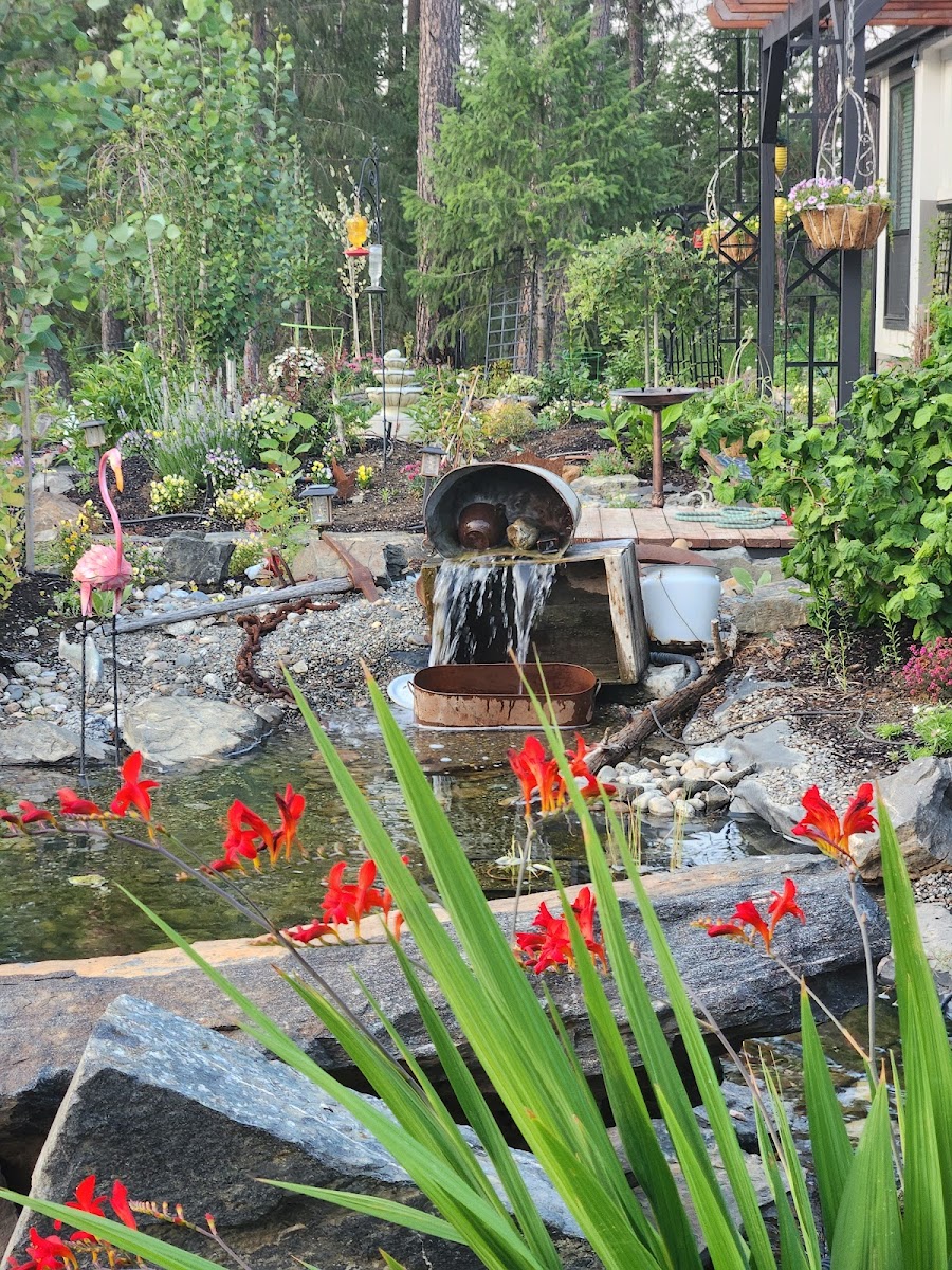 B&B Flower Farm & RV boutique camping