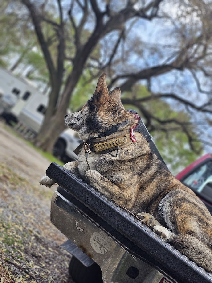 Apache Pines RV Park