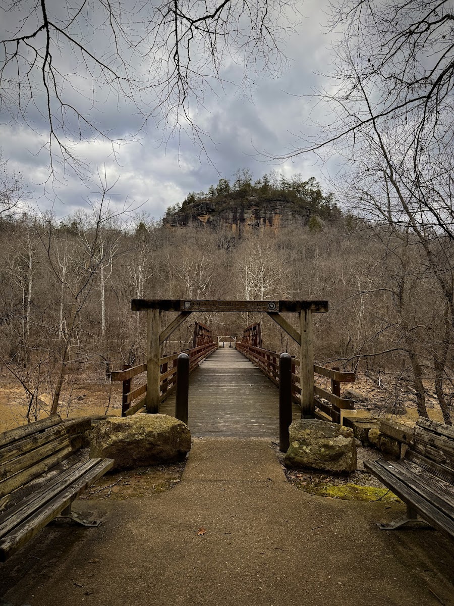 Bee Rock / Rockcastle Rapids Trail Head