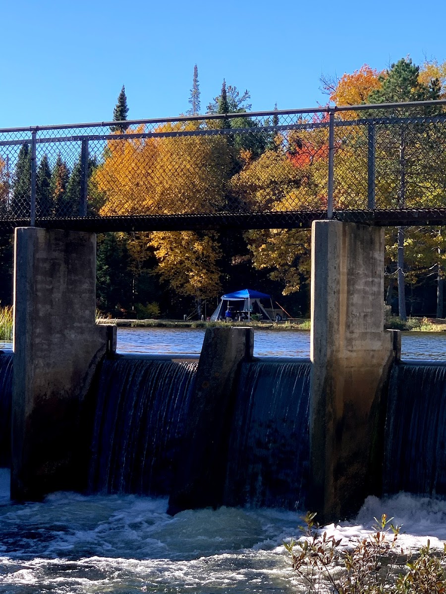 Blind Sucker #2 State Forest Campground