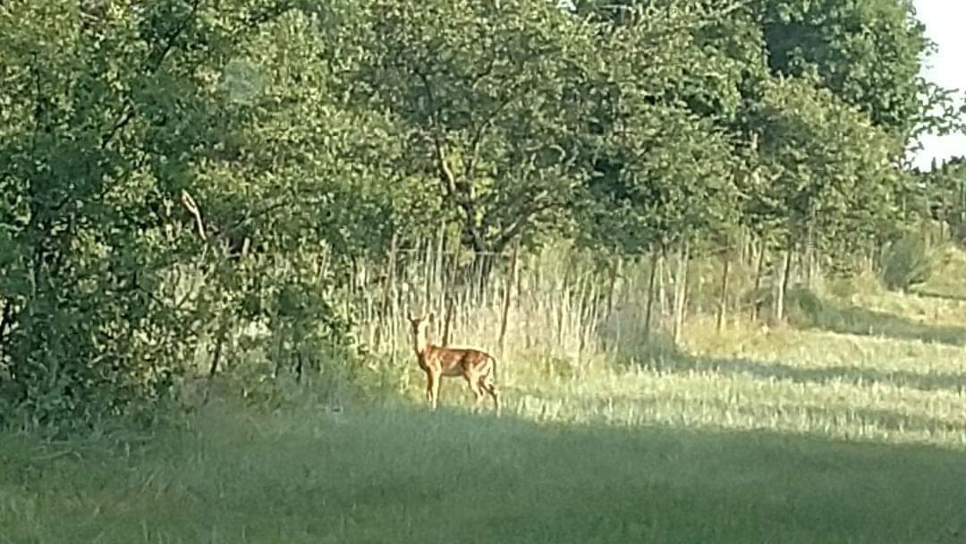 Colonial Ranch RV Park