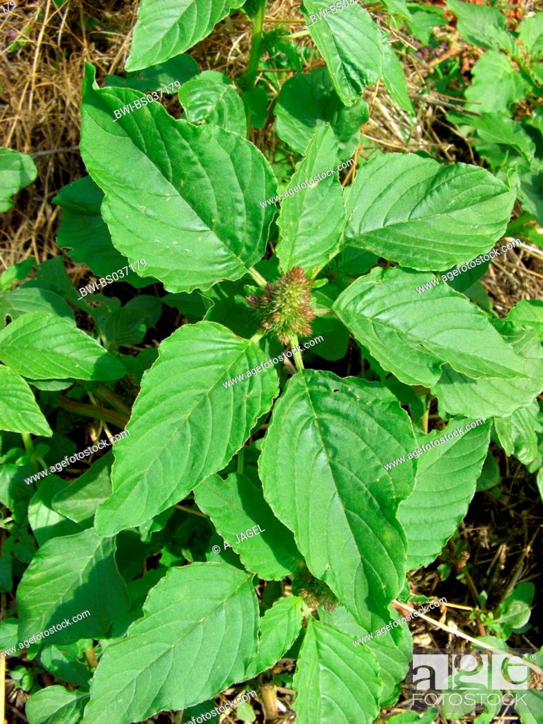 Brookside City Campground