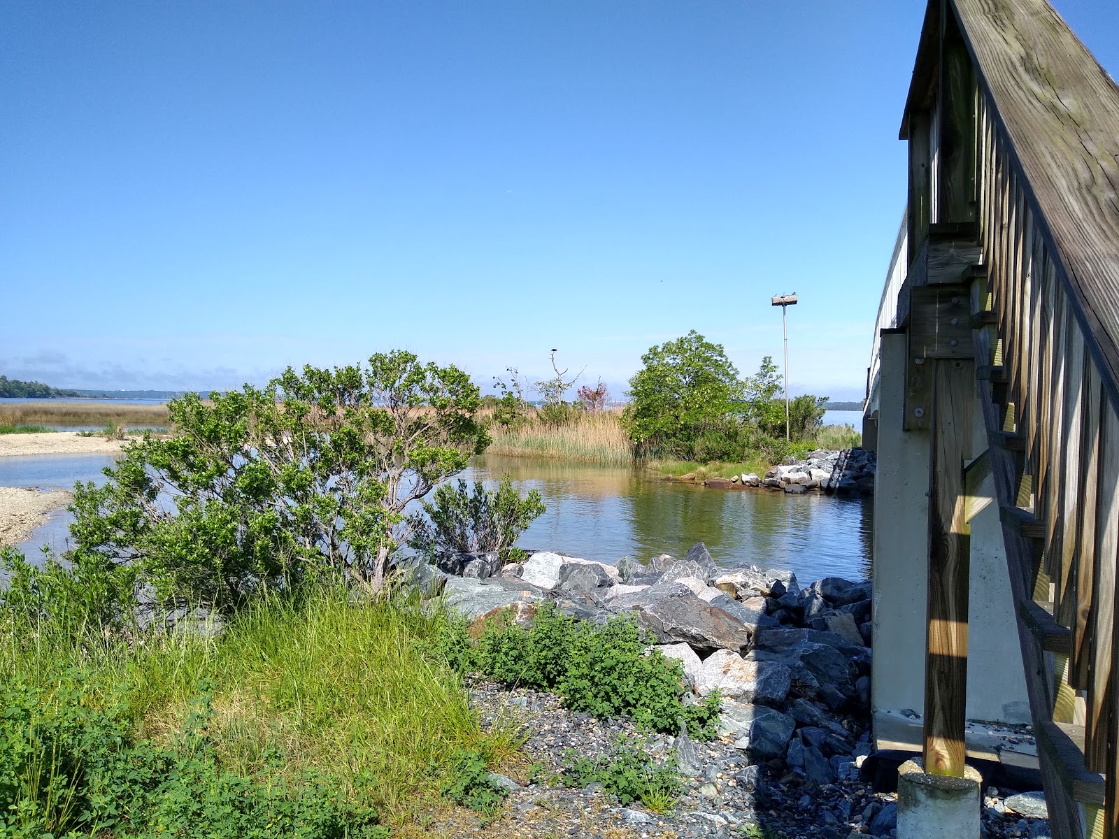 Paradise Grove Campground