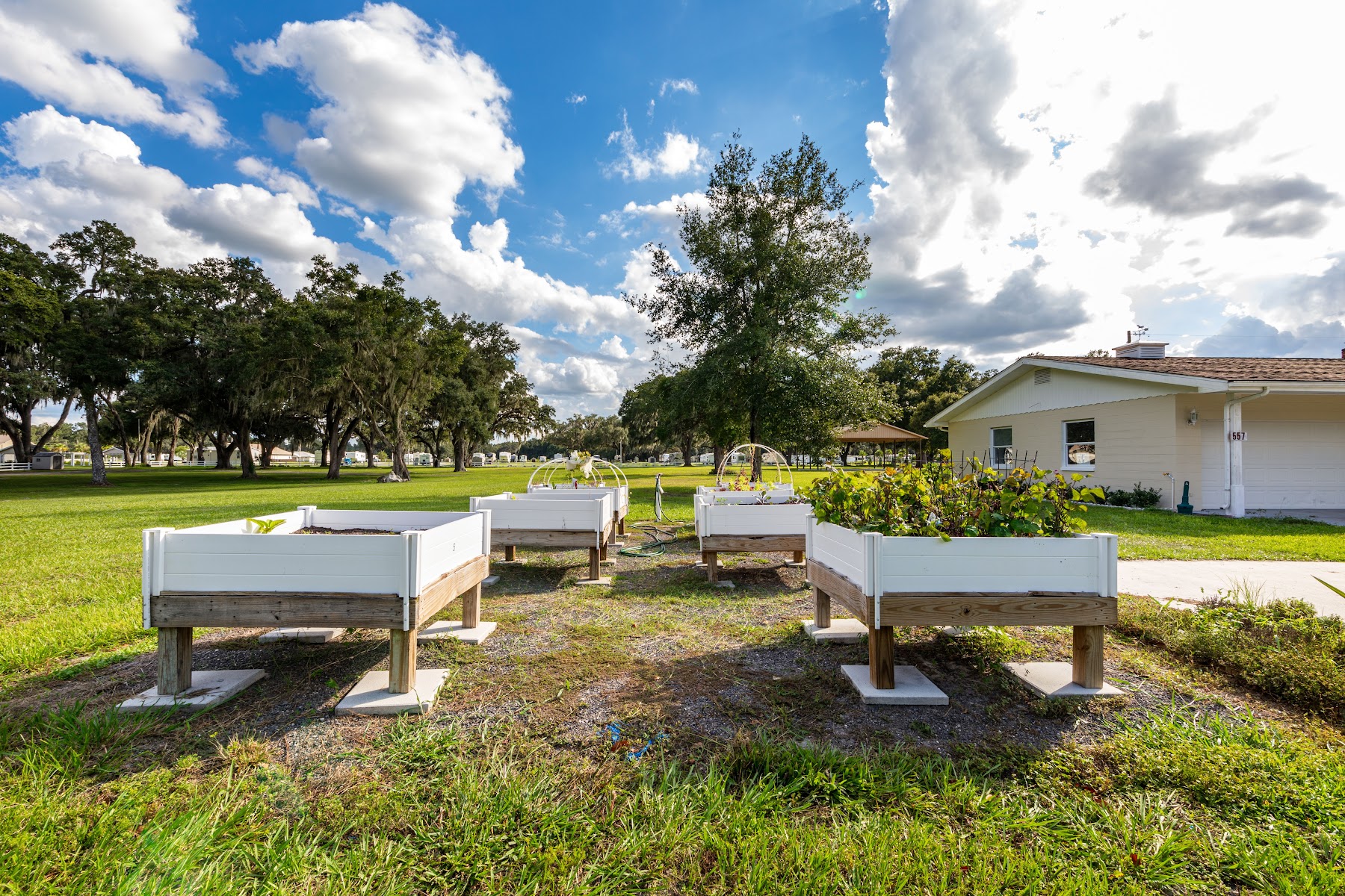 Paradise Oaks RV Resort