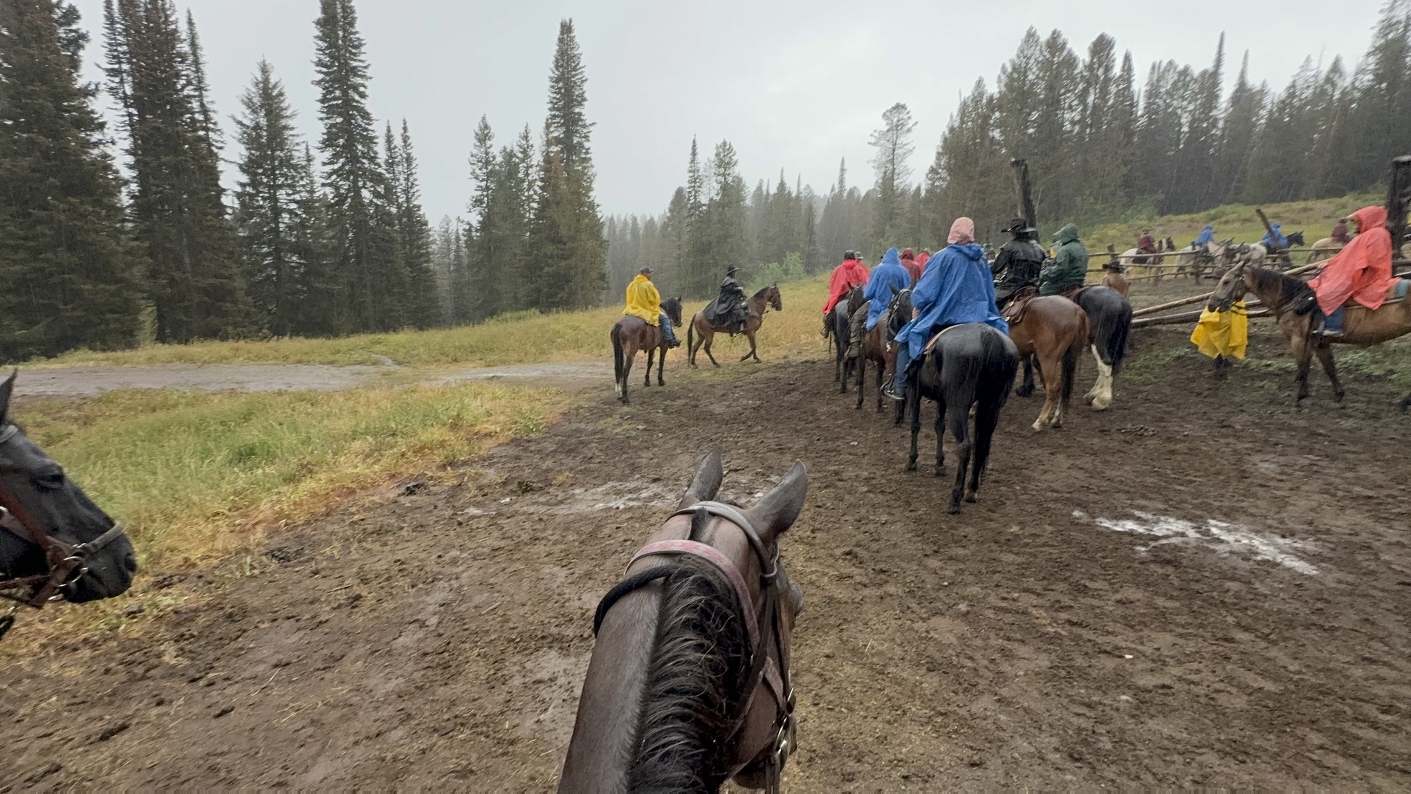 Teton Wagon Train & Horse Adventure