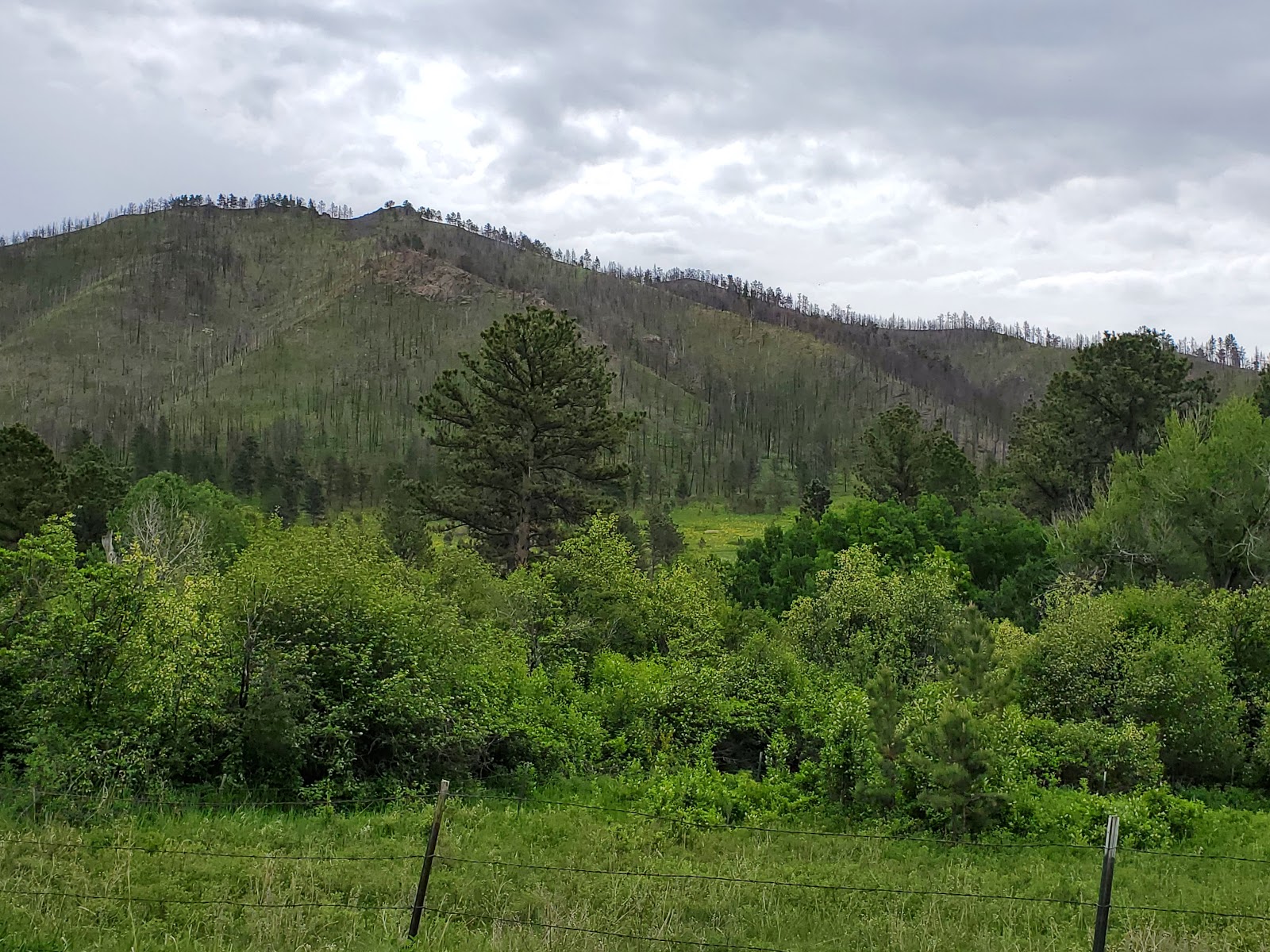 Montana Gulch Campground