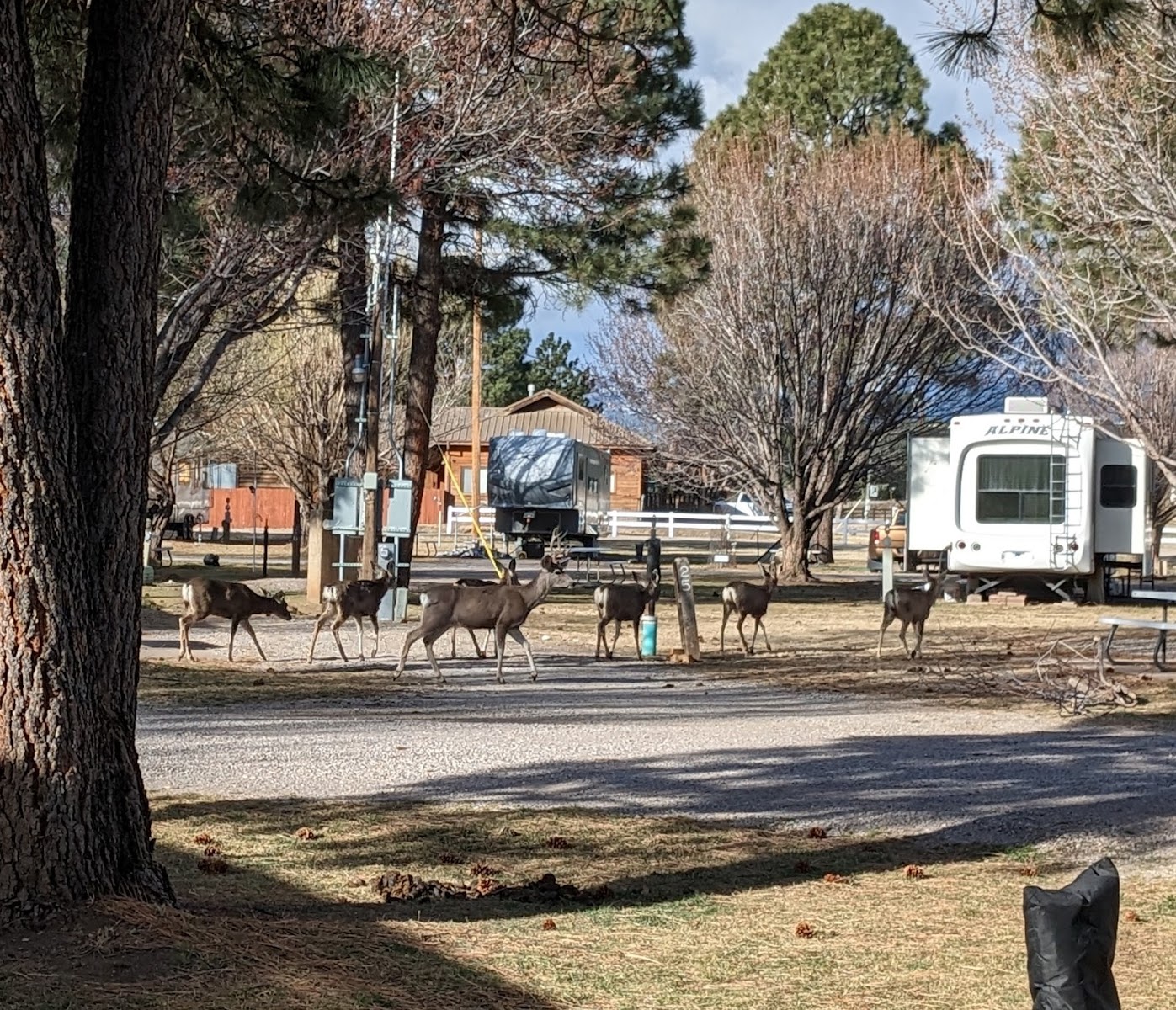 Little Creek RV Park