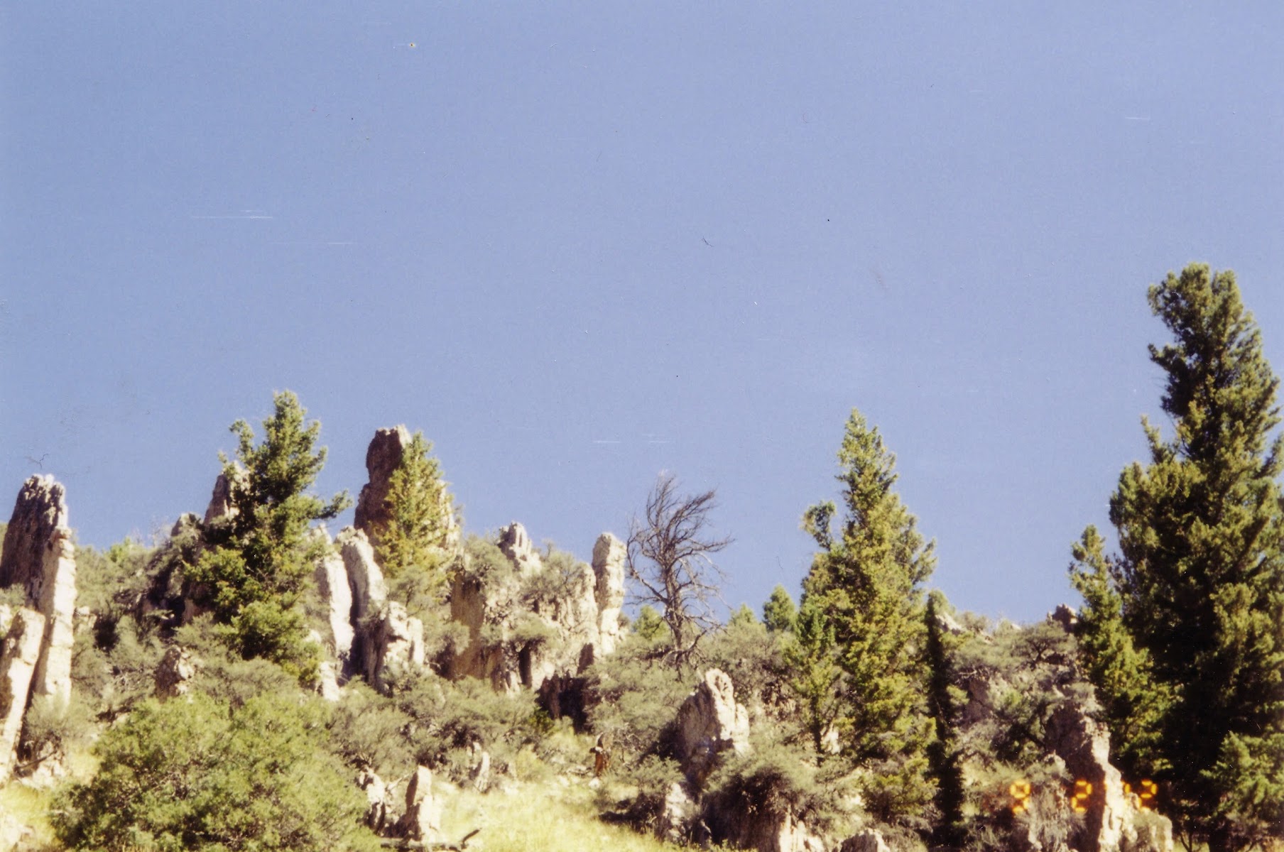 Webber Creek Campground