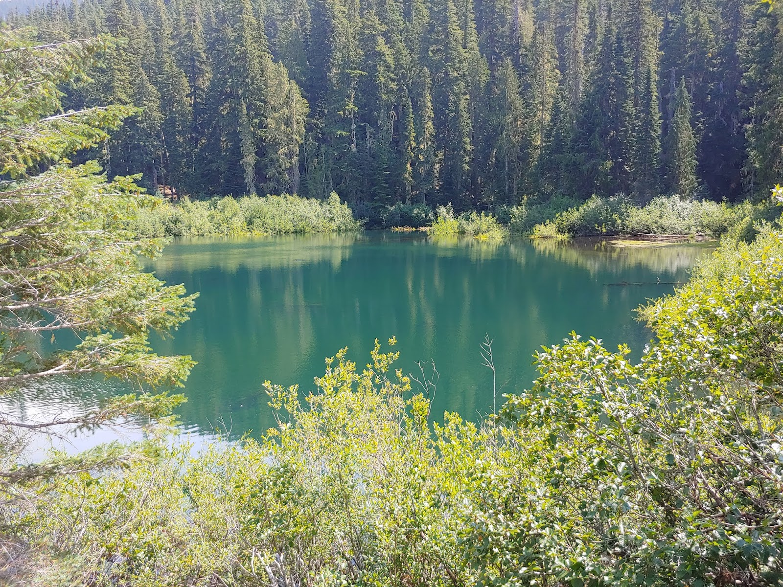 Knuppenburg Lake Campground