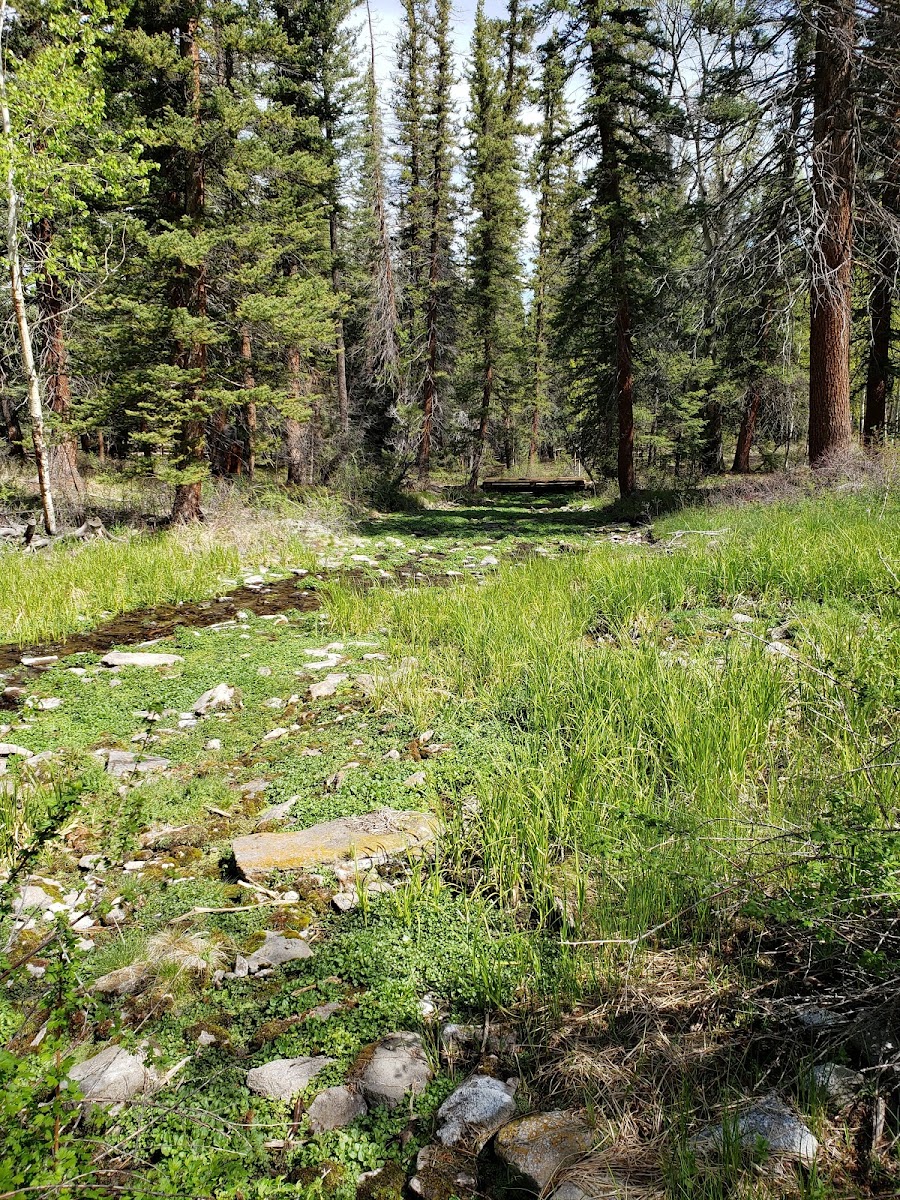 Big Springs Picnic Area