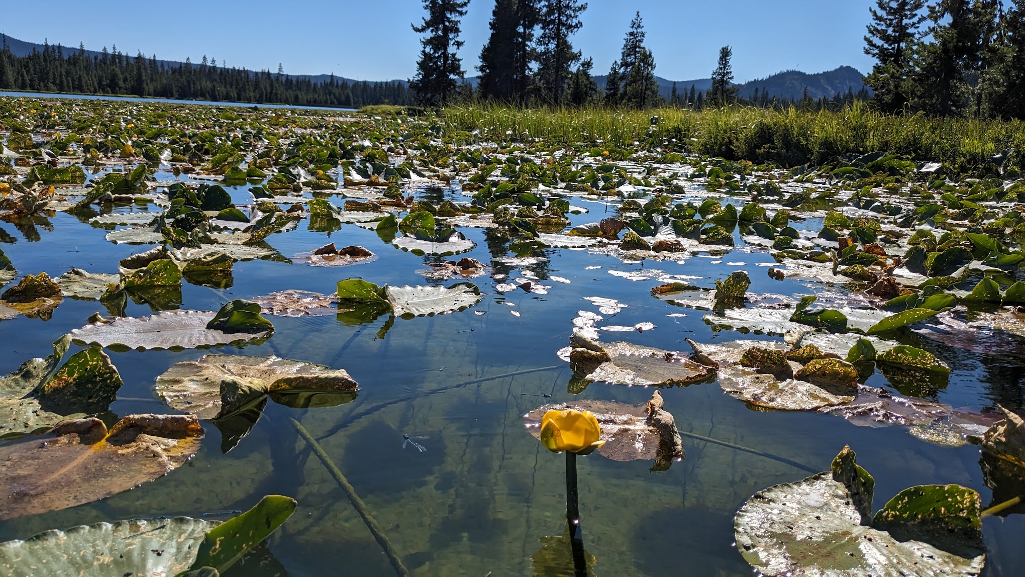 Mallard Marsh Campground