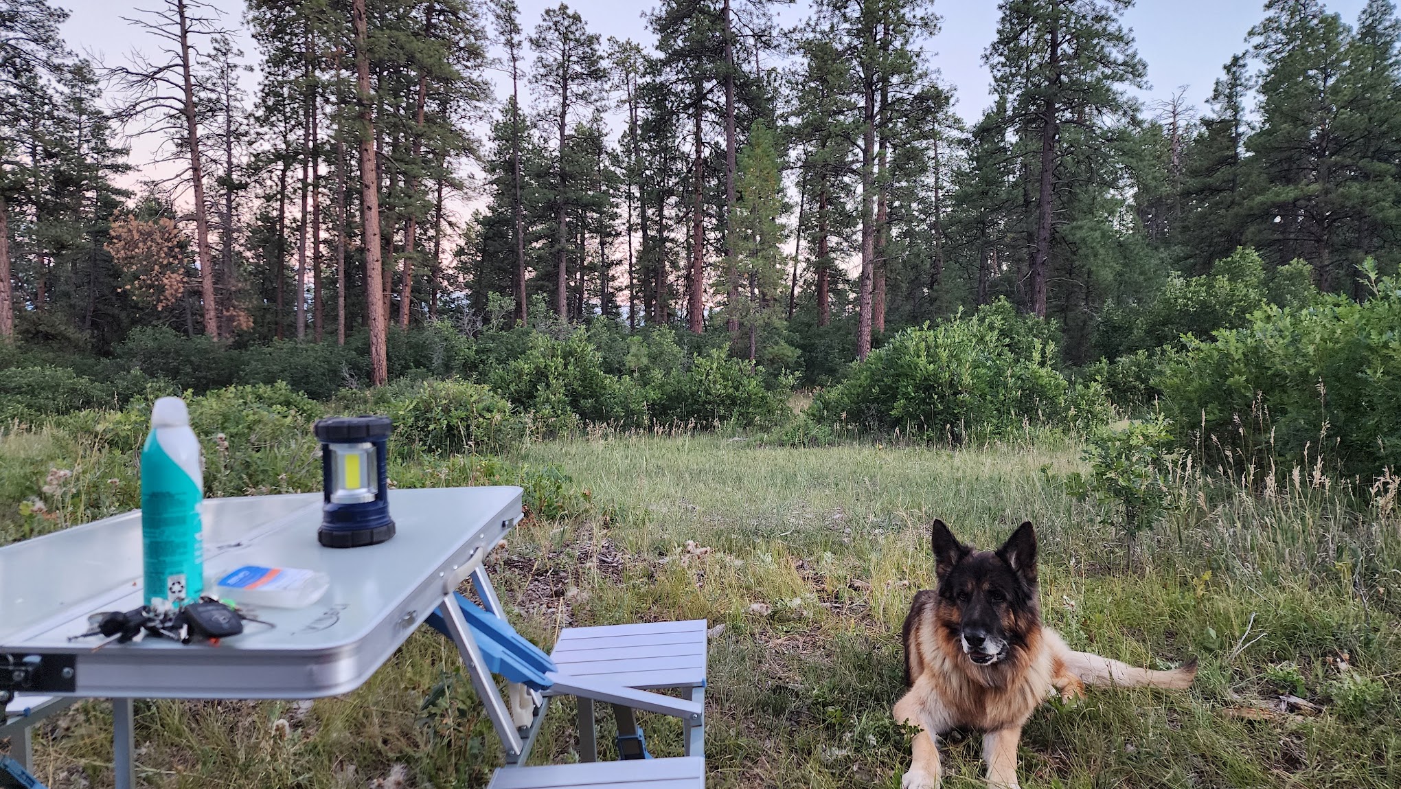 Turkey Springs Dispersed Camping