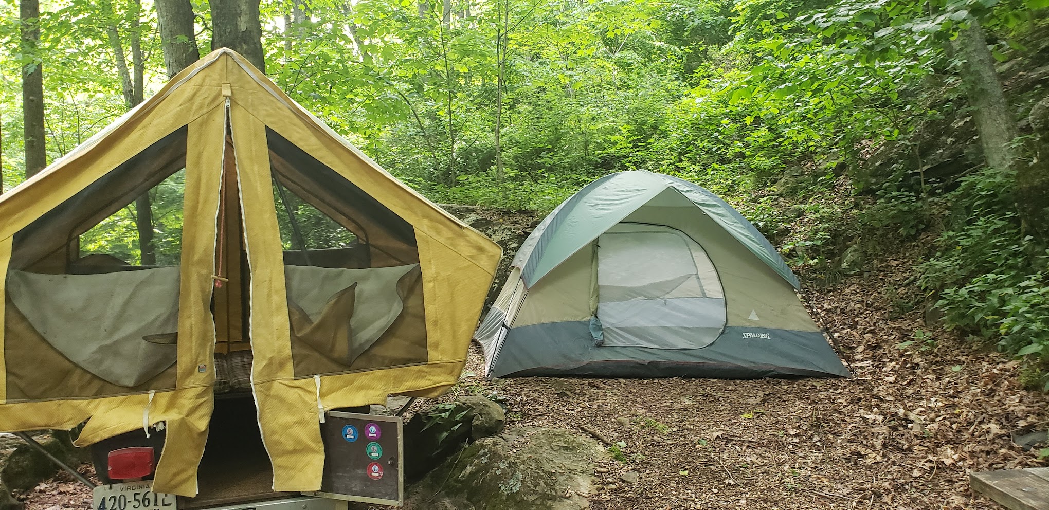 Rainbow Mountain Inc