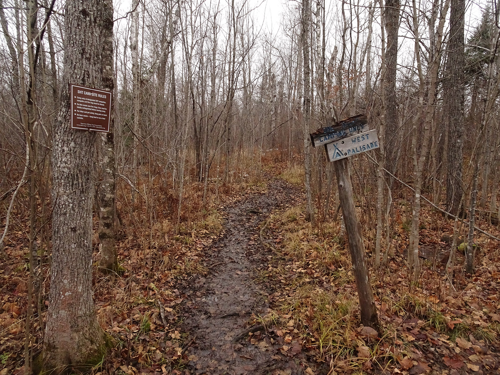 Palisade Creek West Campsite