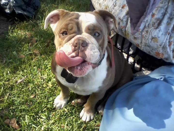 Shady Shores RV Park