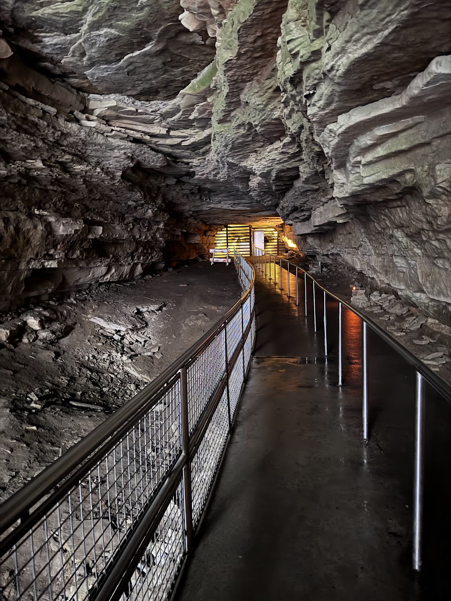 Mammoth Cave Campground