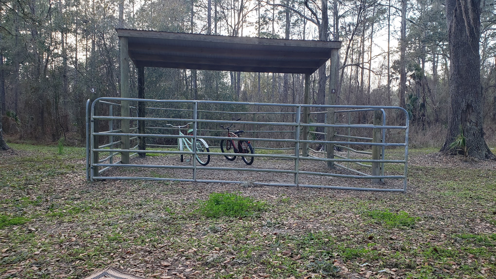 Bearhead Hammock Recreational Area