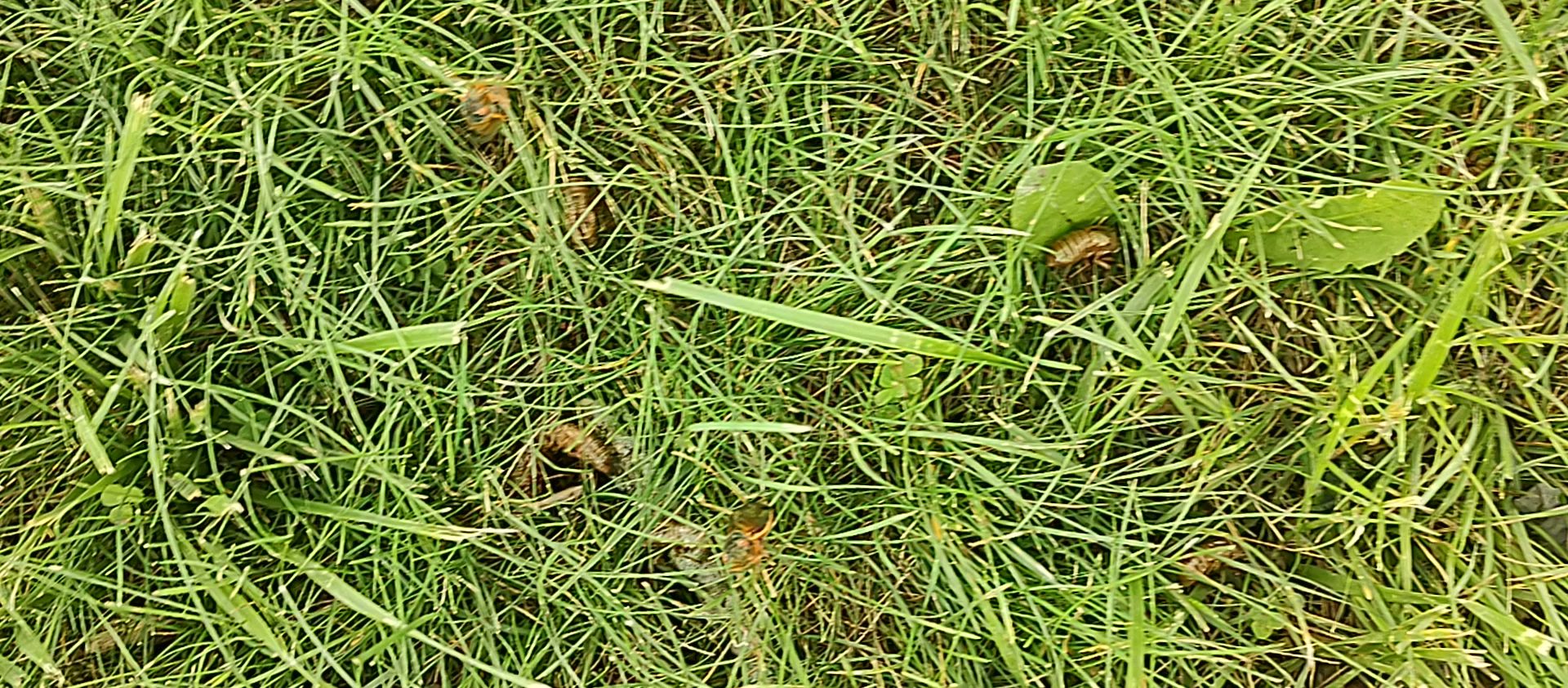 Sam Parr State Park Campground