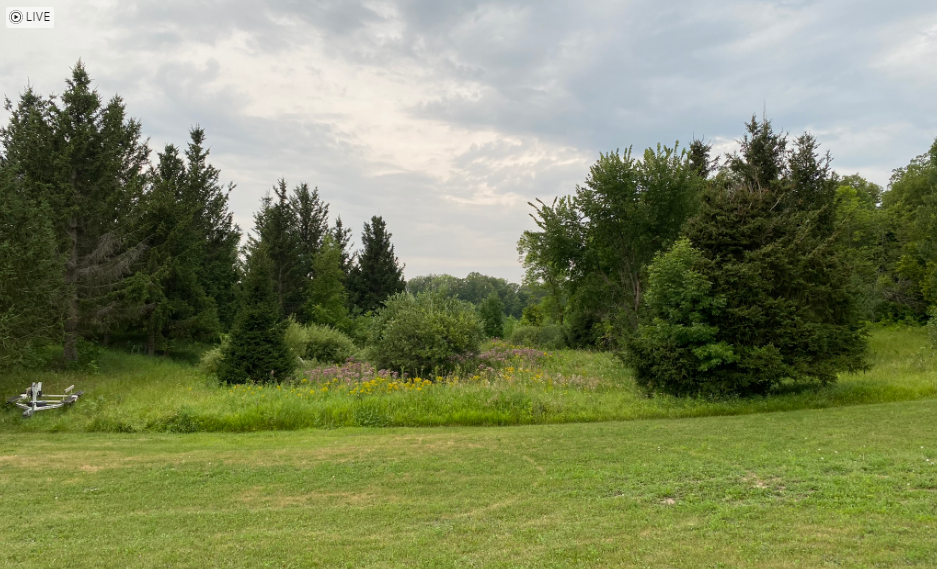 Maplewood RV Park and Camp